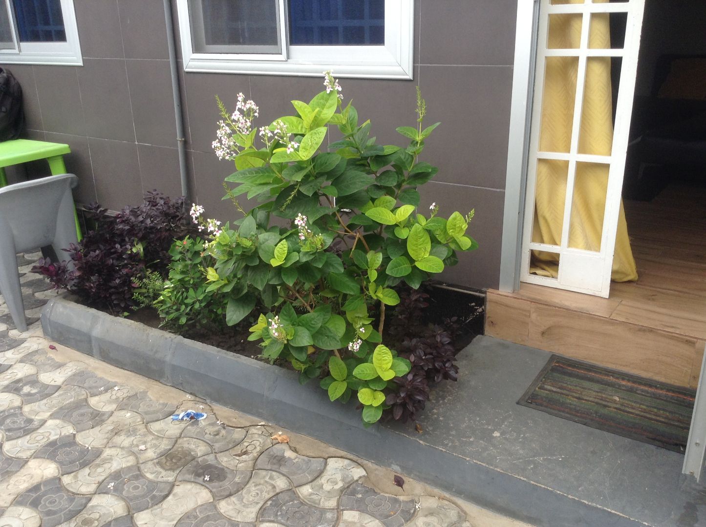 Appartement Meublé - Image 16