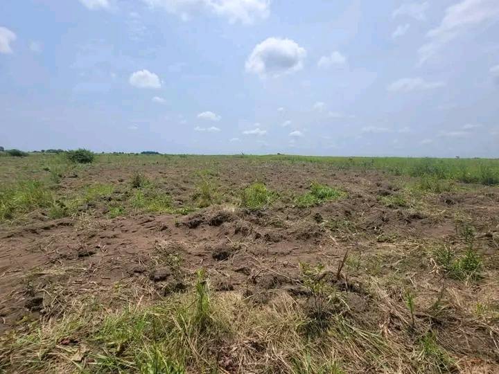 DOMAINE A VENDRE - Image 2