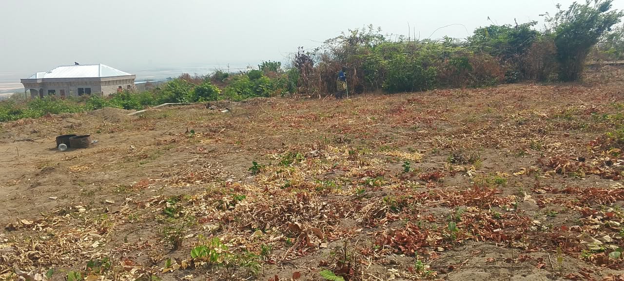 Demi à vendre  Parcelle Kintele - Image 3